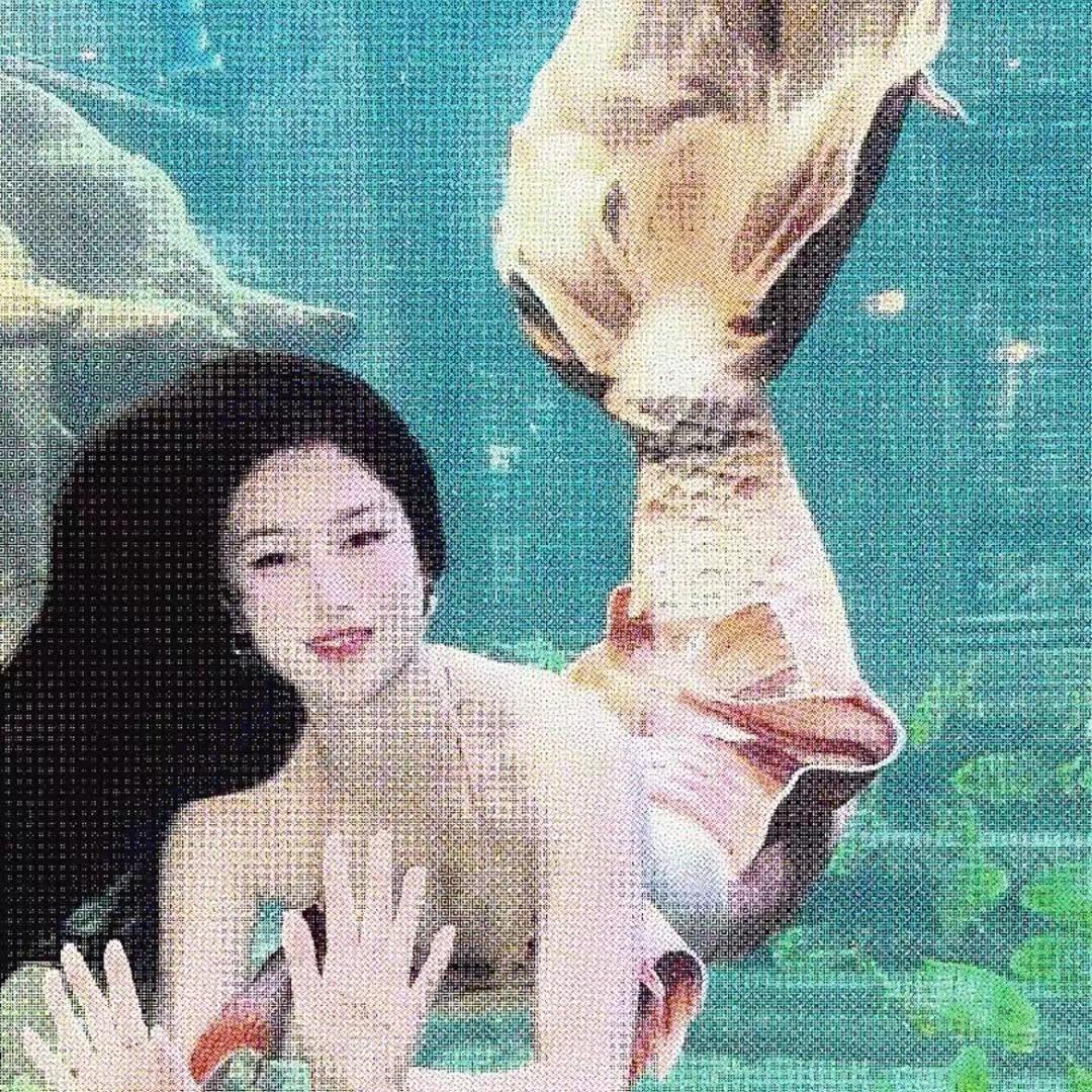 美人鱼🌞인어