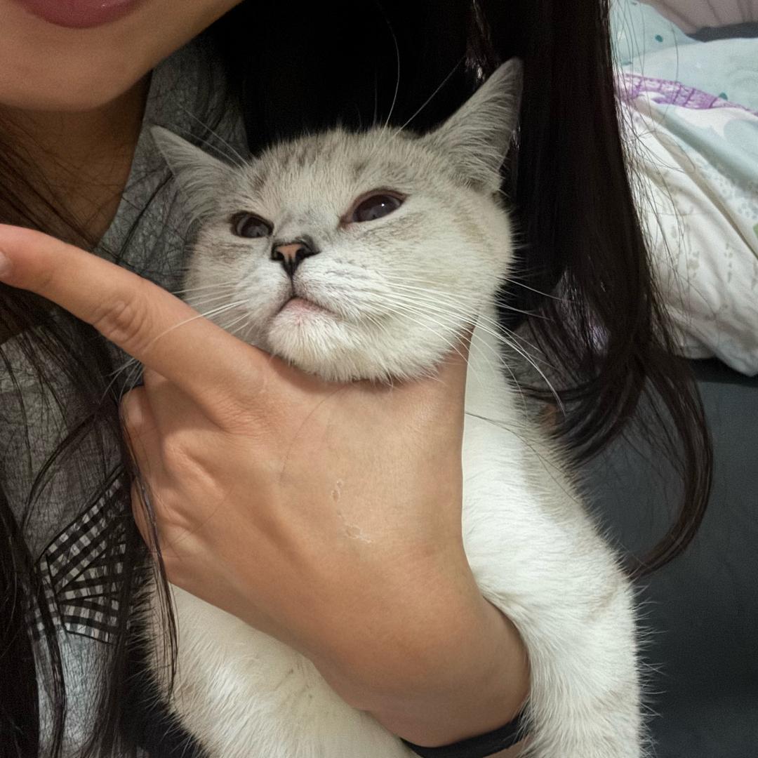 diudiu