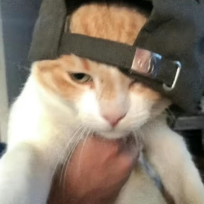550