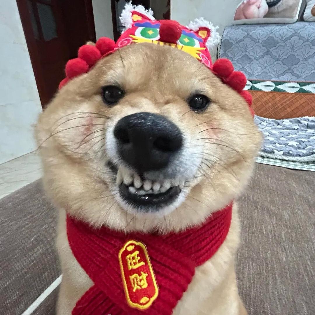 囧架架！