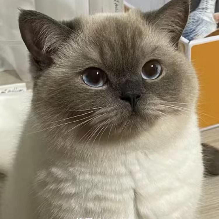 黎明头像