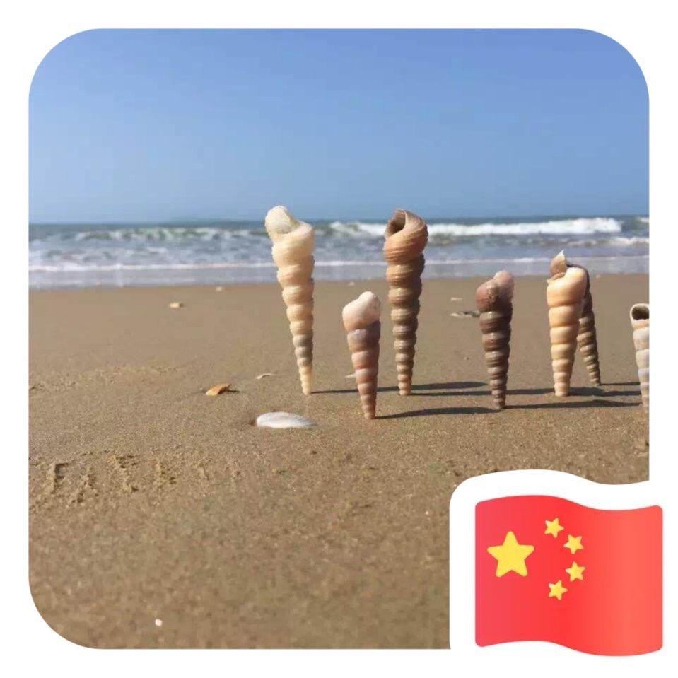 11秒