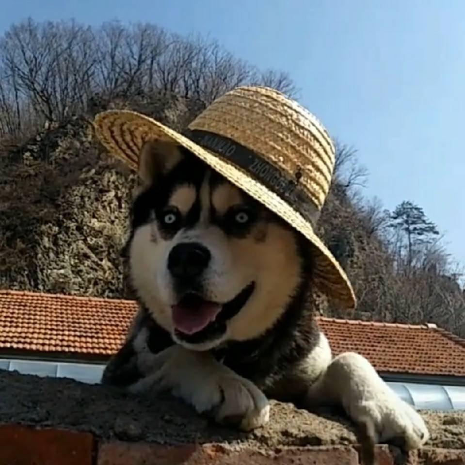 乱闯