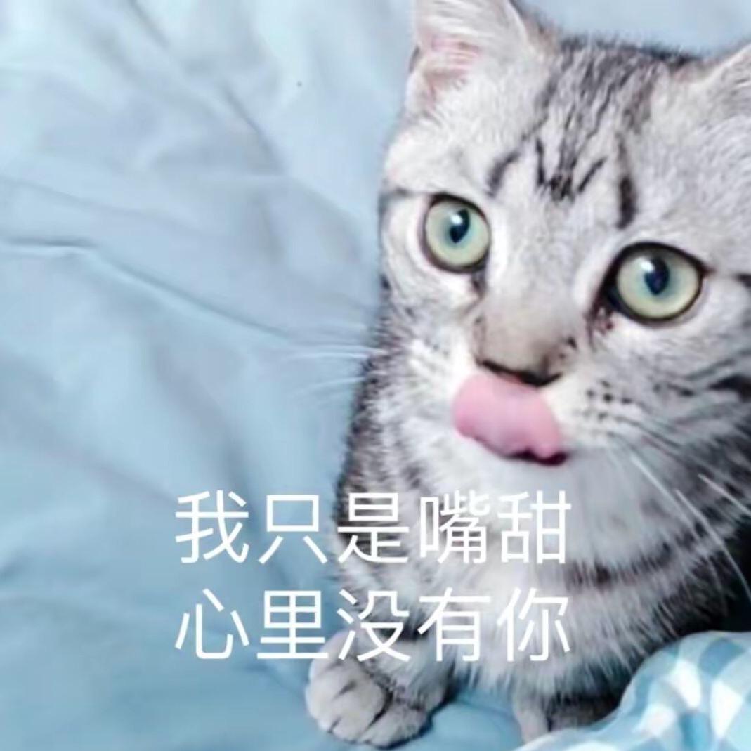 时芒芒