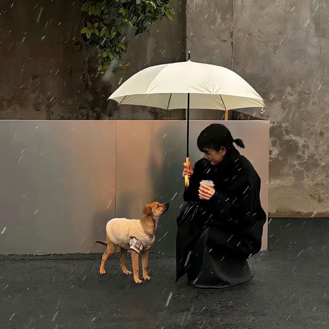 爱吃丸子的小苹果