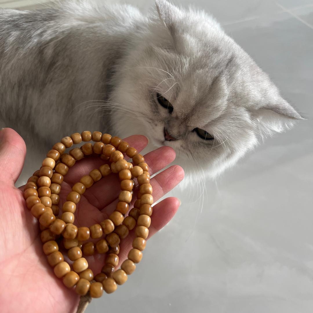 文轩龙脊菩提源头工厂店