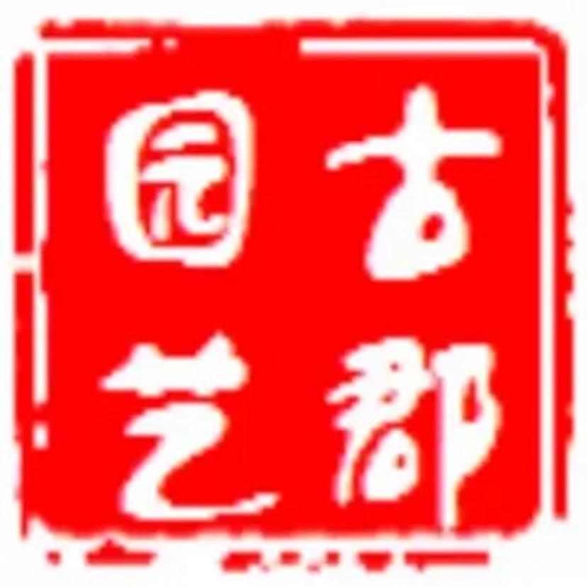 古郡金银花盆景老桩