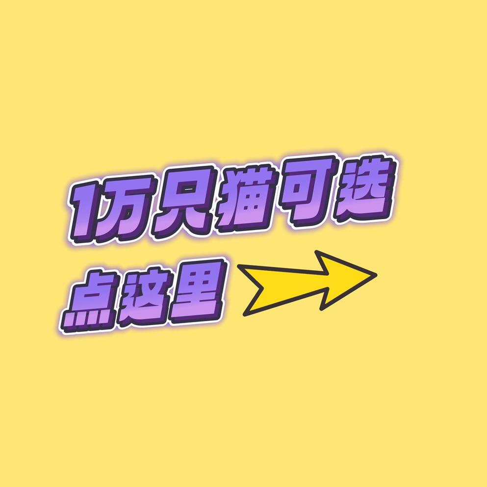 5千只猫可选