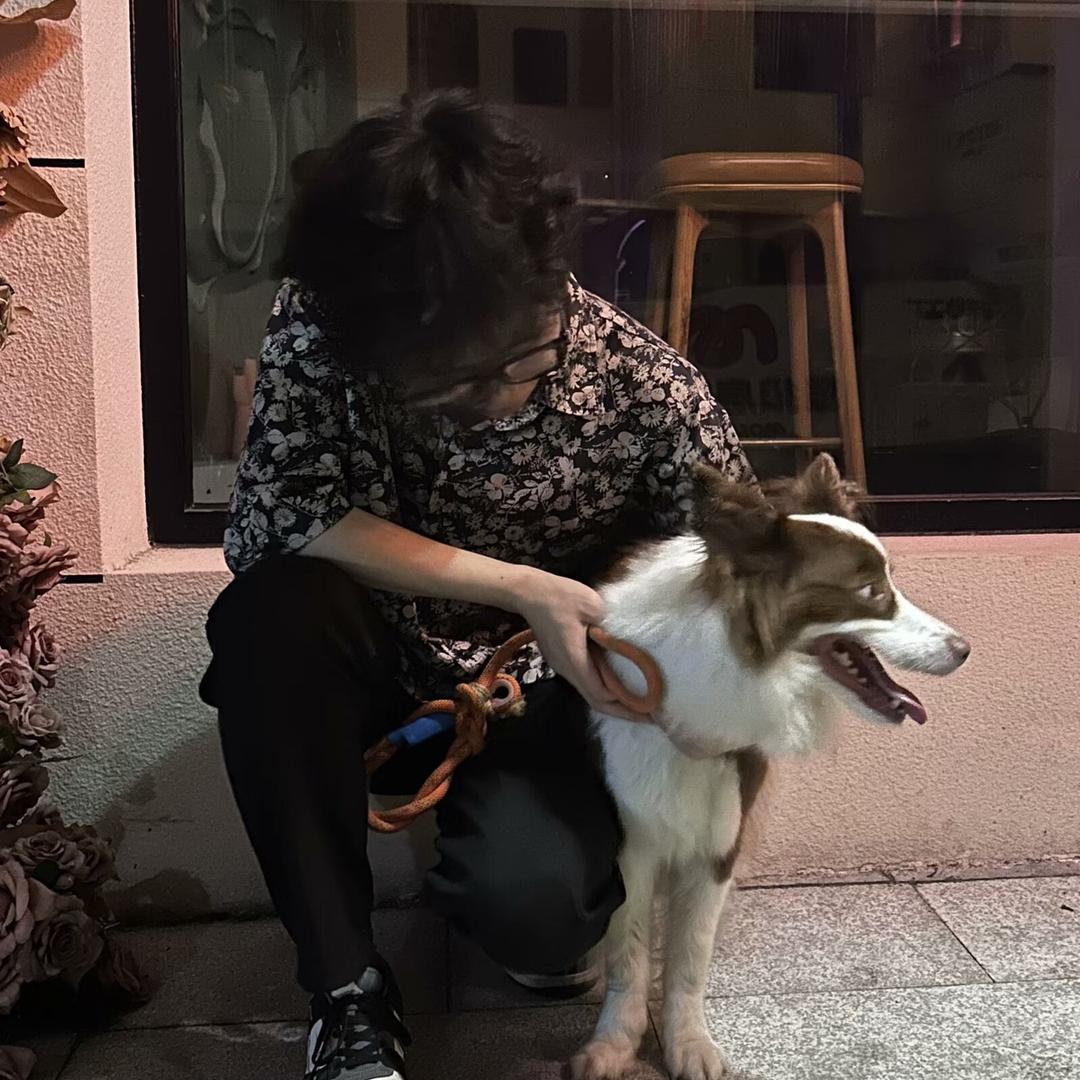 飒西卜理