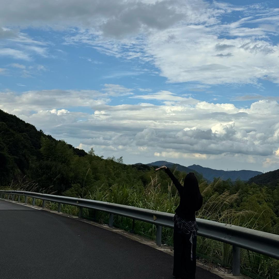 T羊毛卷