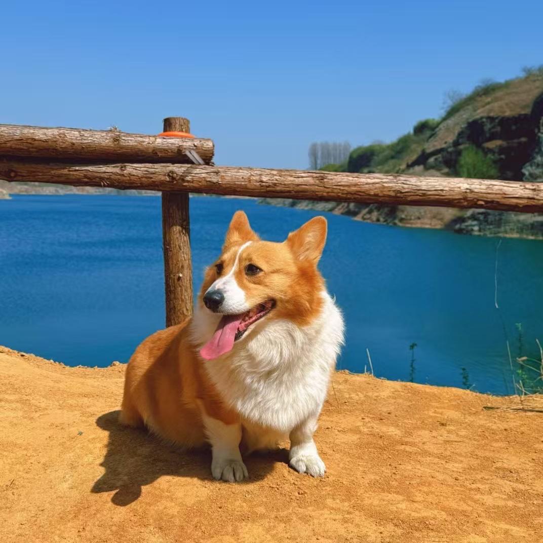 小徐吃不饱