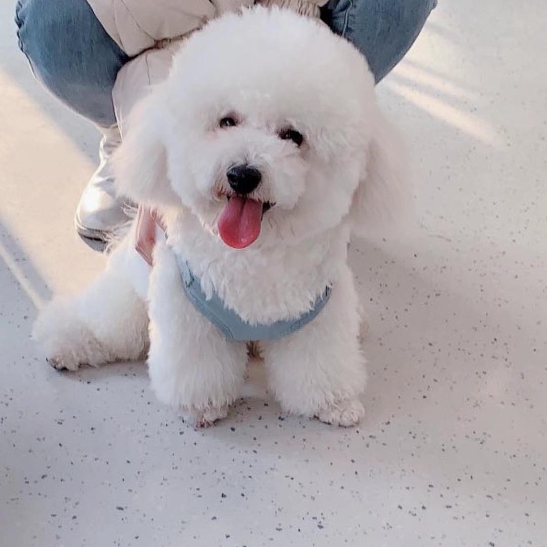 ＿@熊熊是只比熊吖🐻🍼