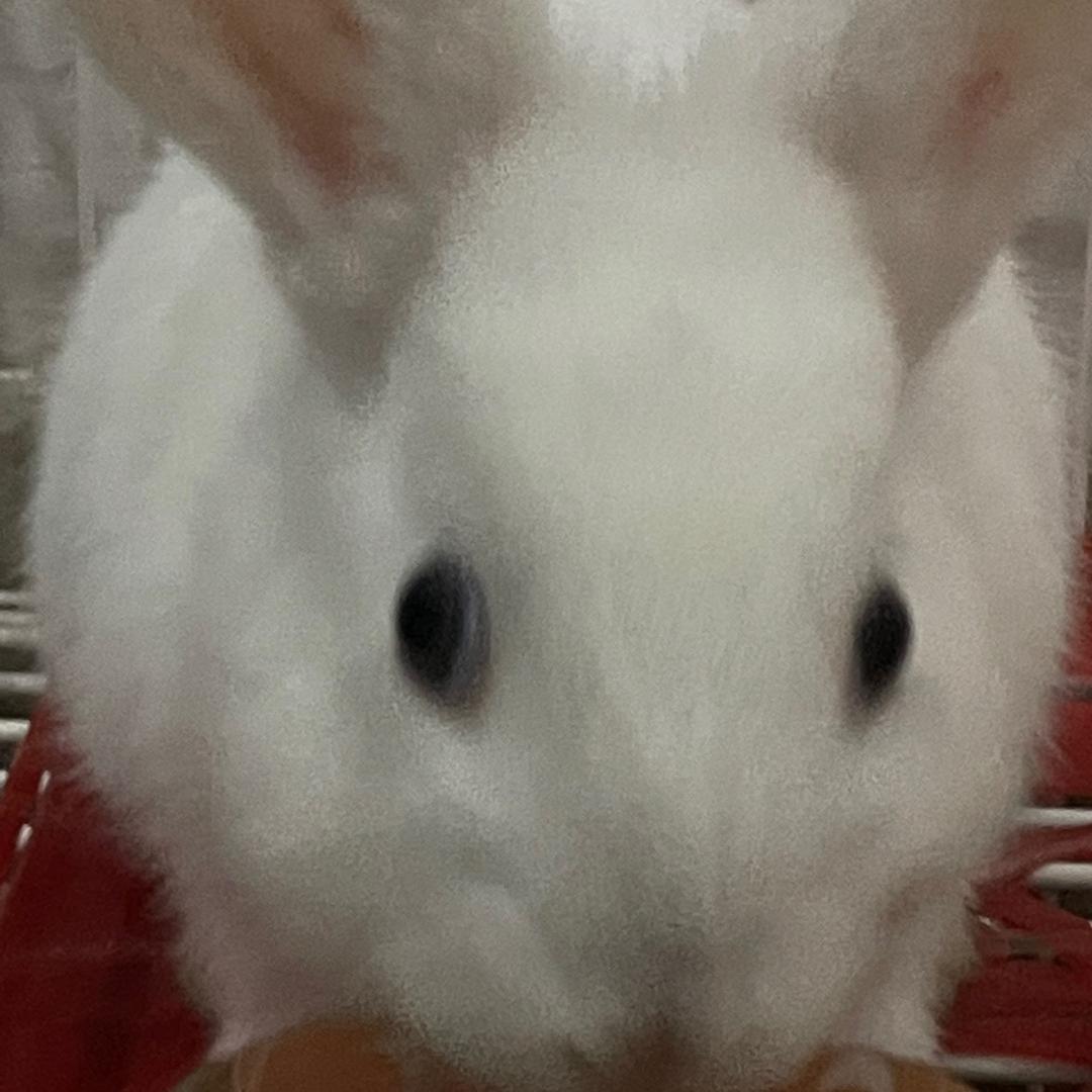 轻舟已过万重山123