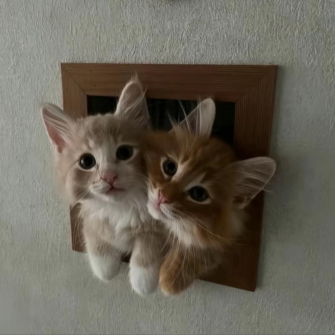 ᴊɪᴋᴇ