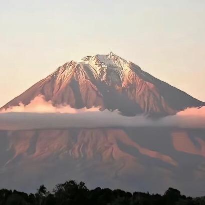 只吃土豆的马铃薯