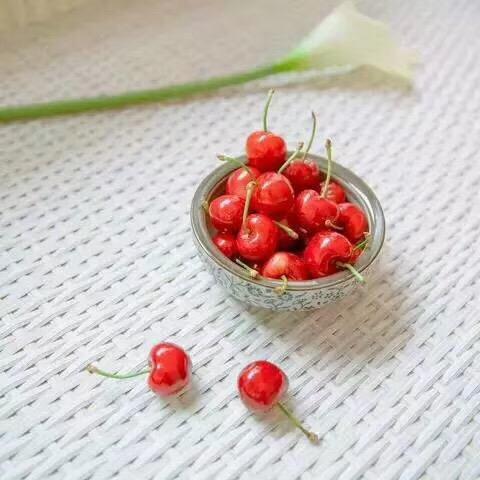 雨荷《拒私聊》