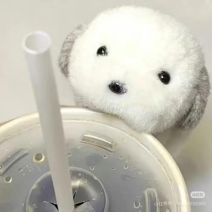 种树安陵容