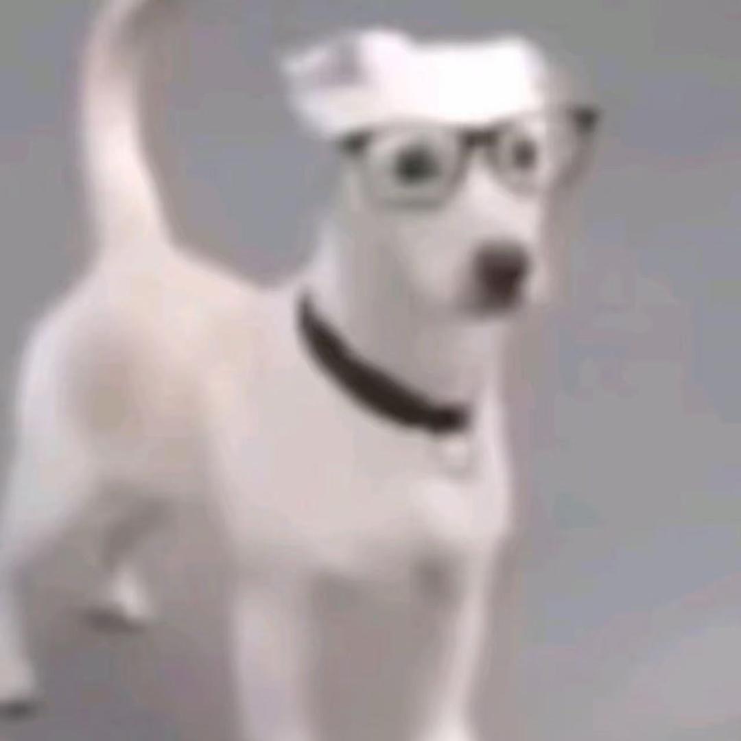 鹅少