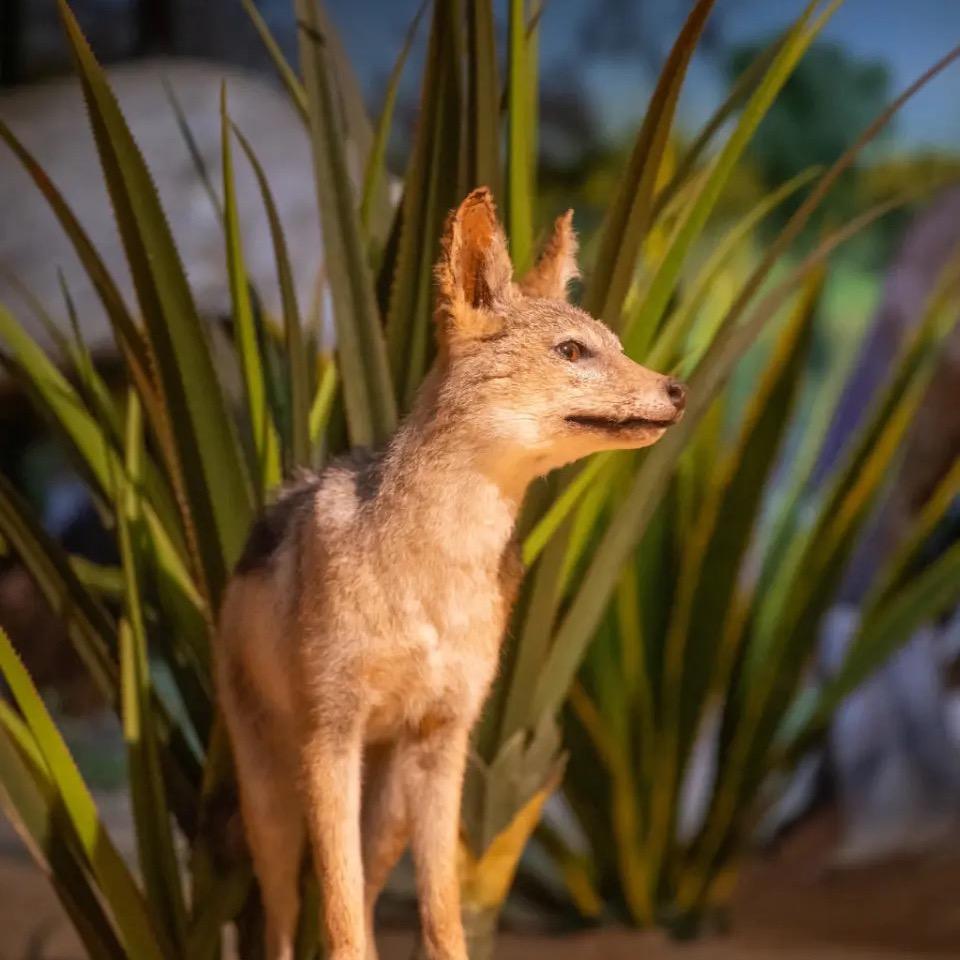 湘粤扫地僧（广东北单）