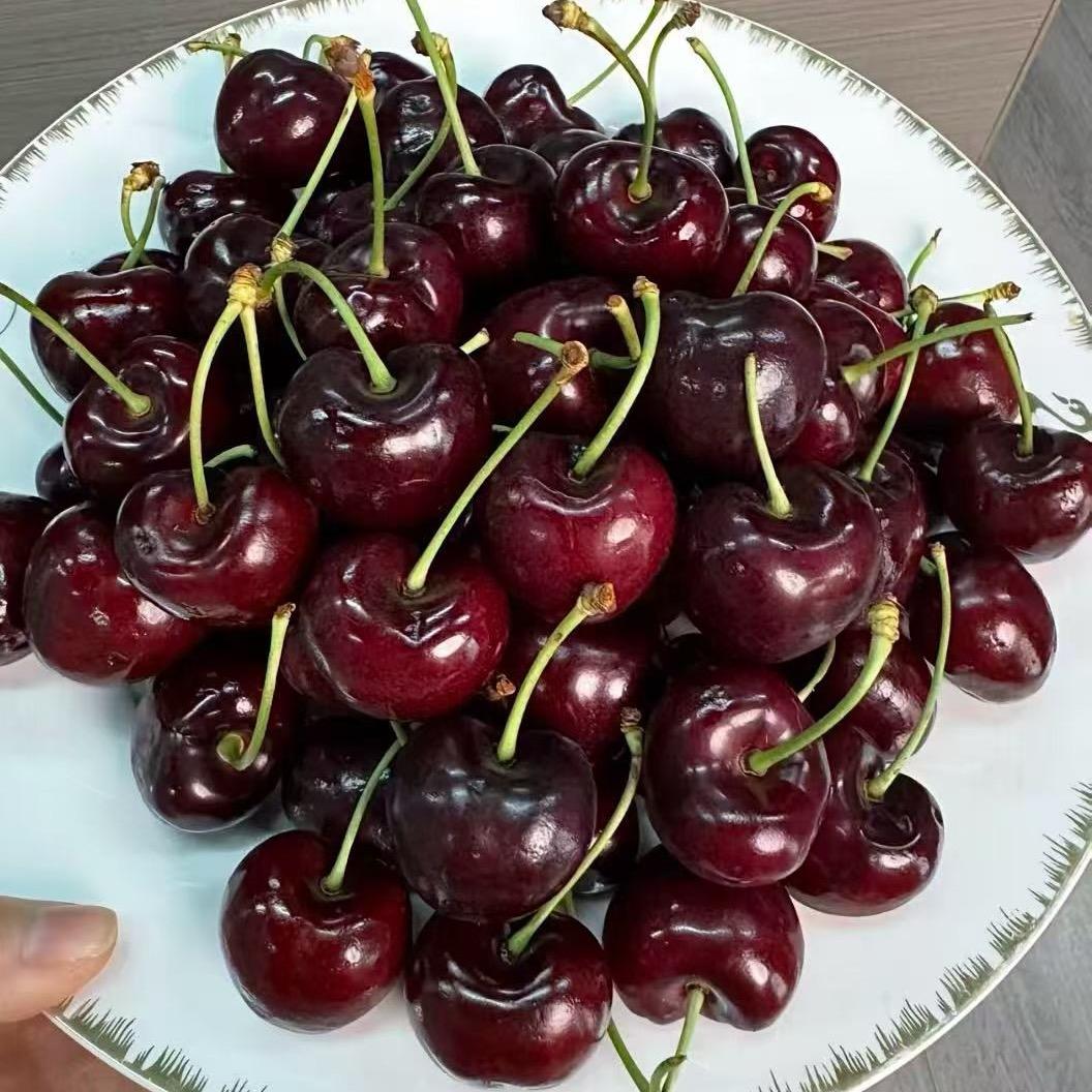 攀果地西街店小刘呀🎊