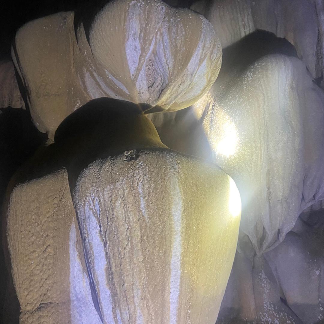 谁叫你不成才😭😭😭😭