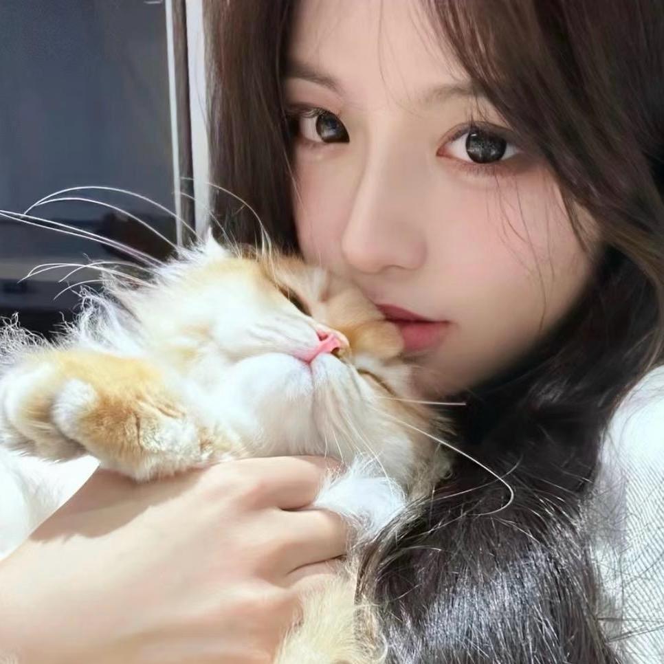 丫比🐱🫧