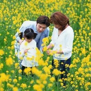恋爱咨询师周老师