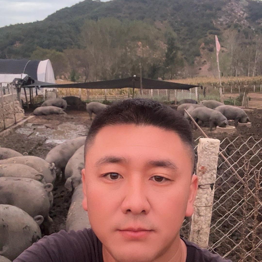 黑猪散养\溜达猪小杨子