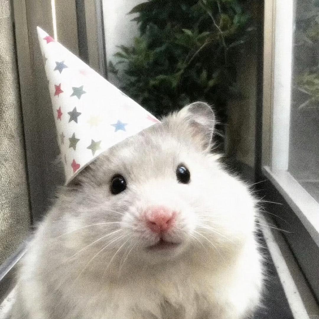 根本没把我放盐里