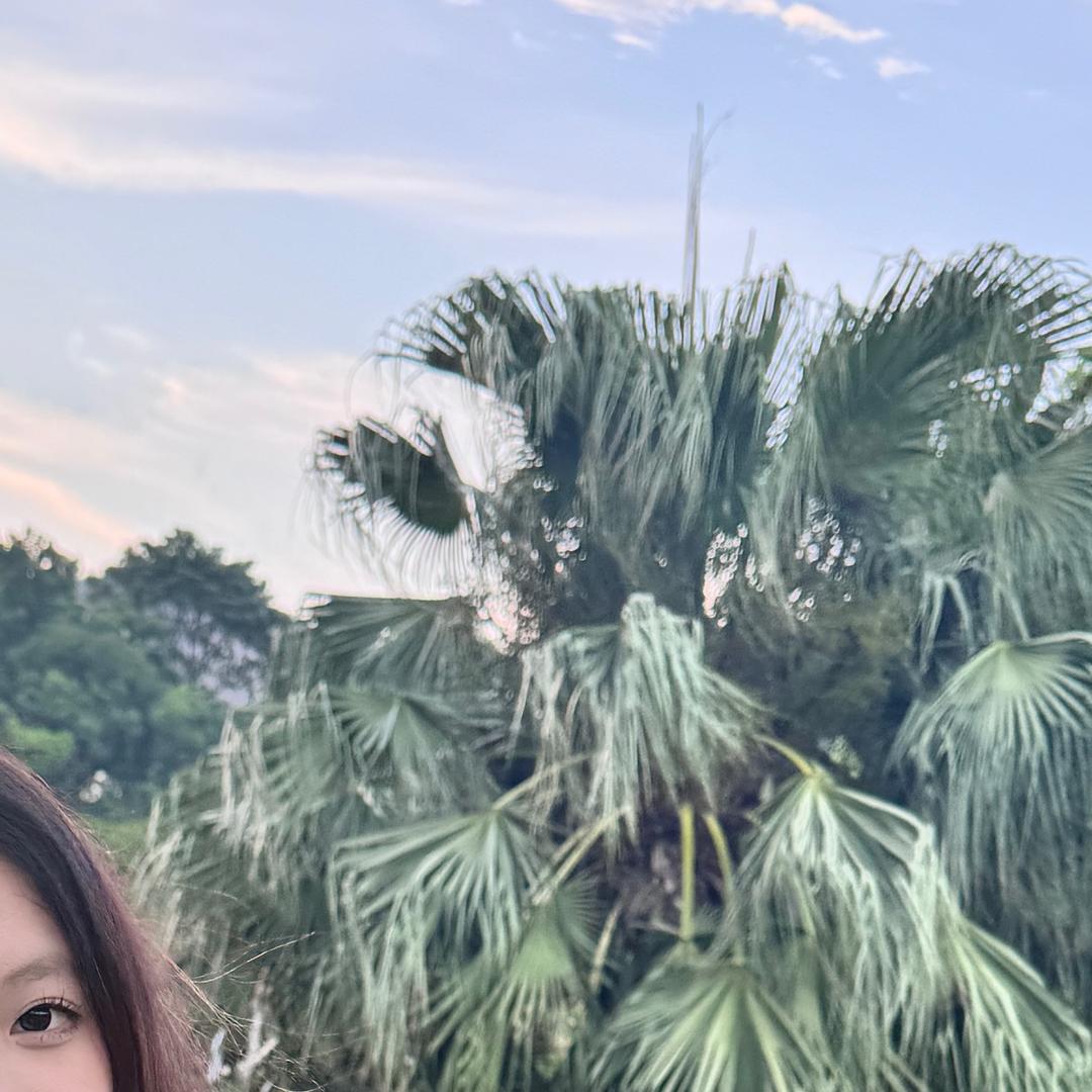 花好月圆💗