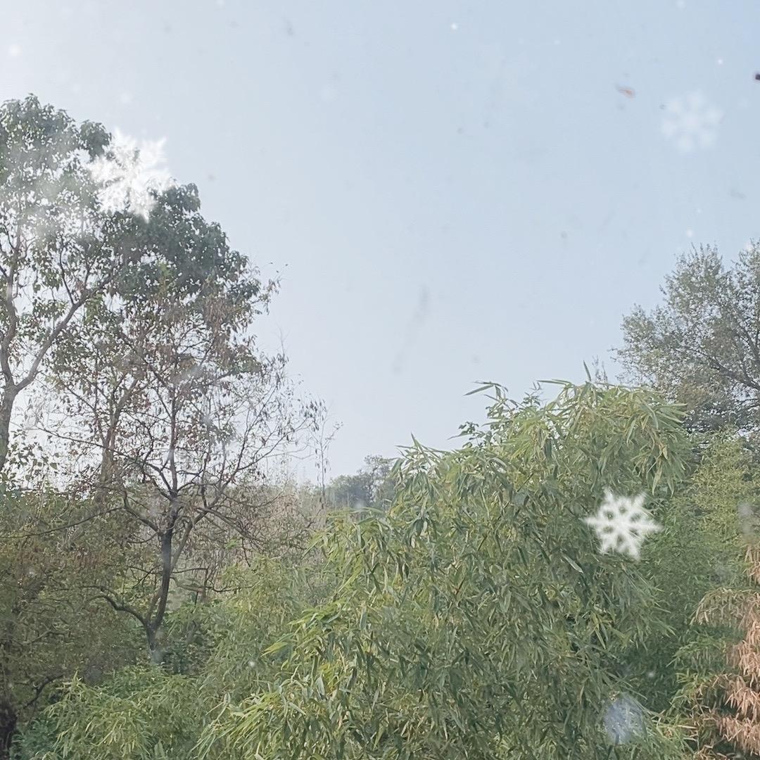 爱慕(⁎⁍̴̛ᴗ⁍̴̛⁎)时光