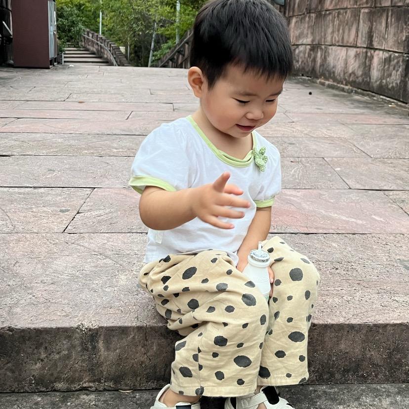 鱼的记忆