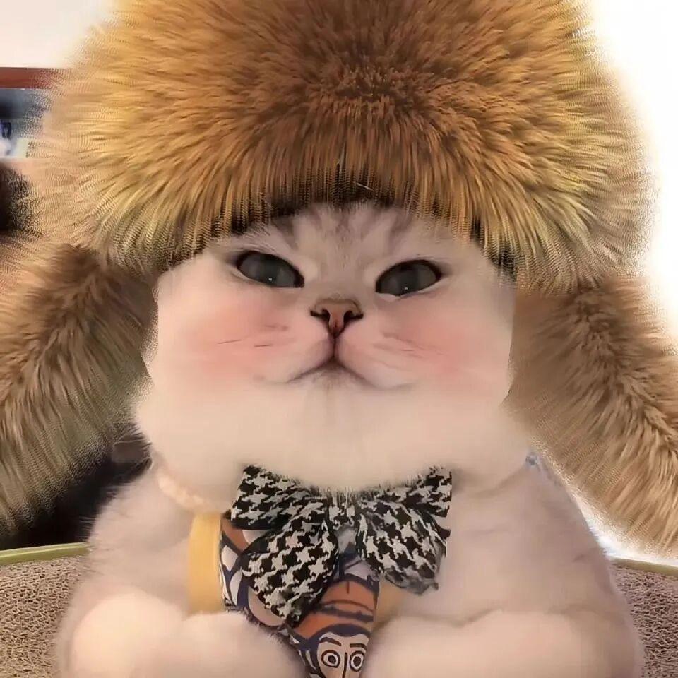 一只肠