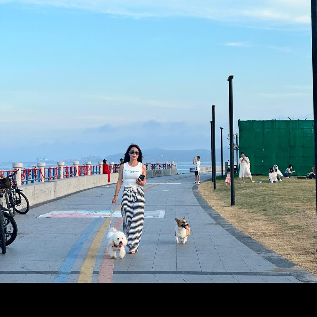 金峰镇流浪狗之家
