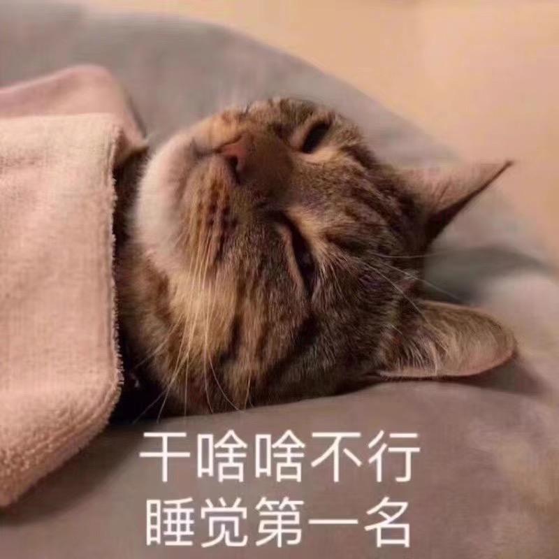 香菇炖排骨