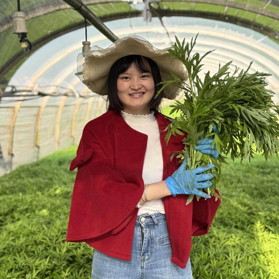 沃黎农业健康农产精选