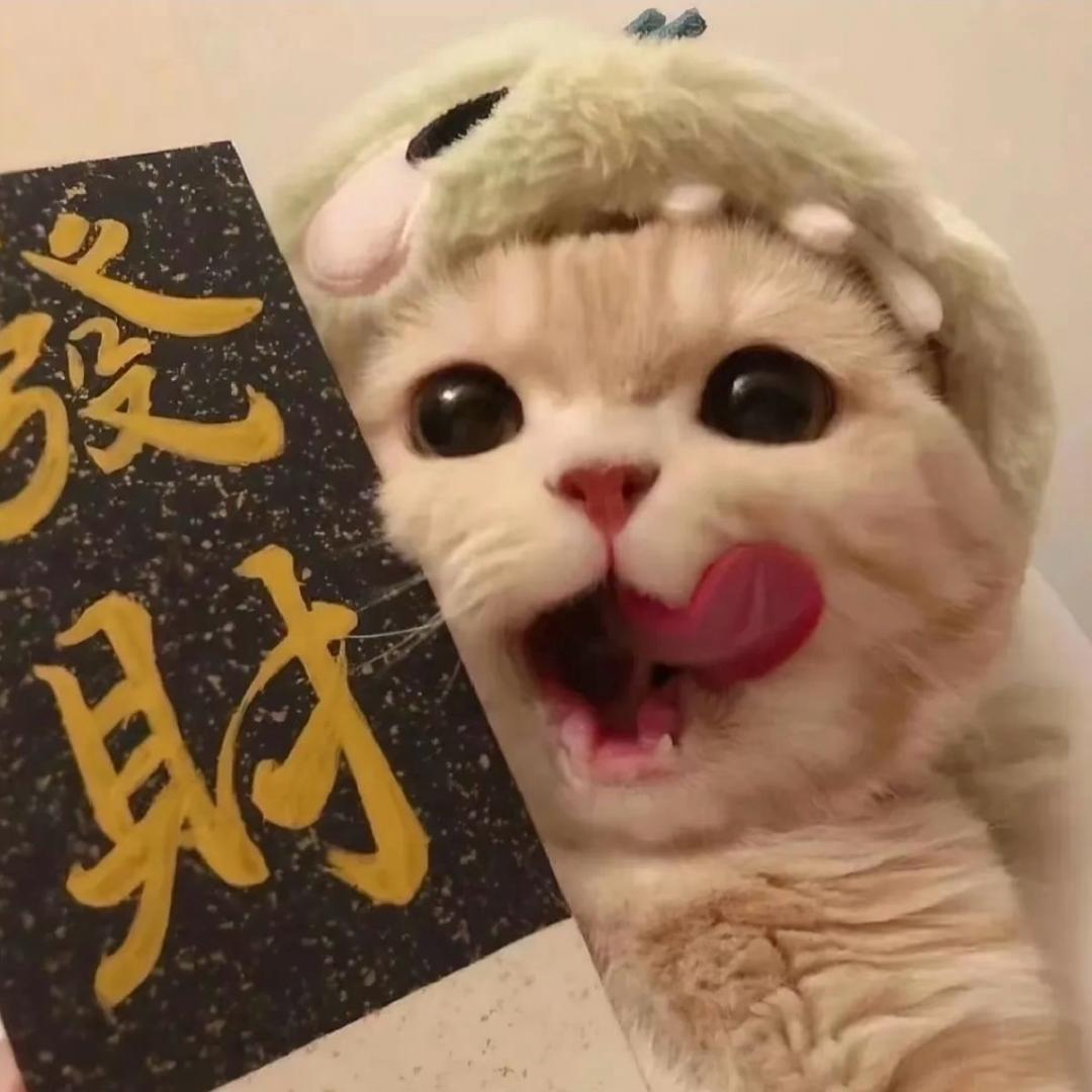 小只暴富猫