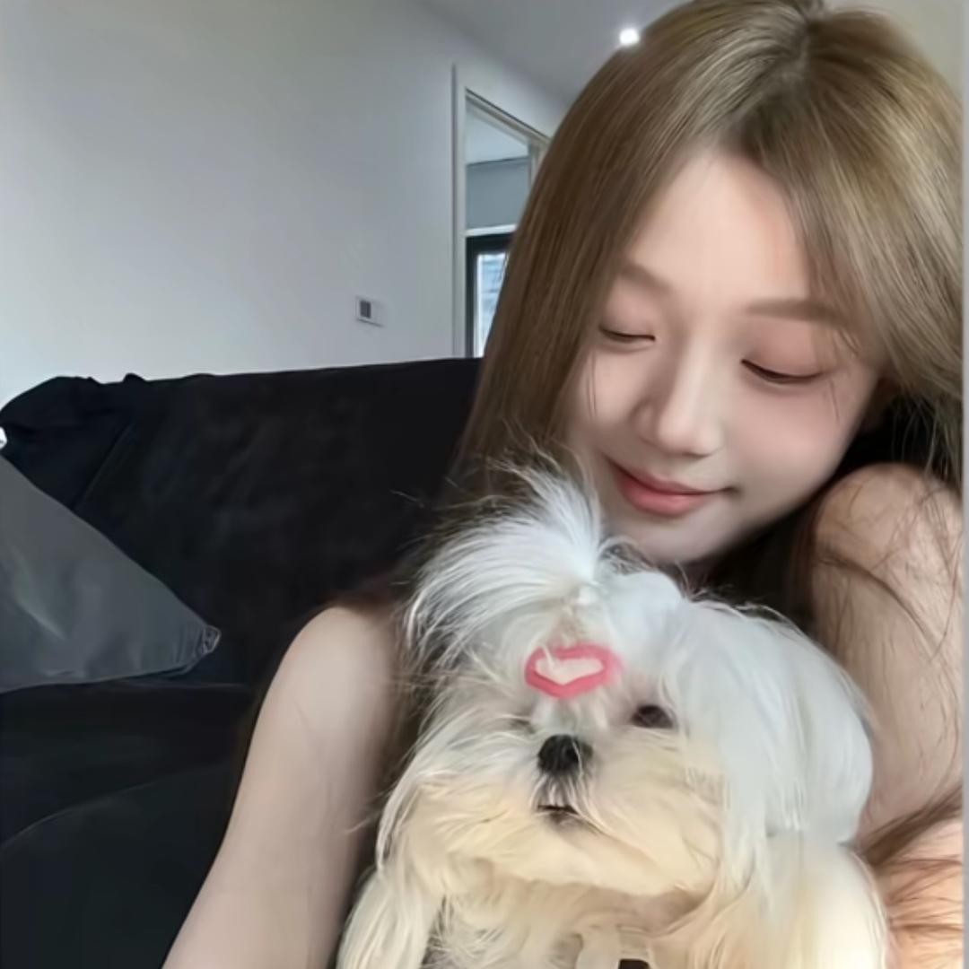嘉-