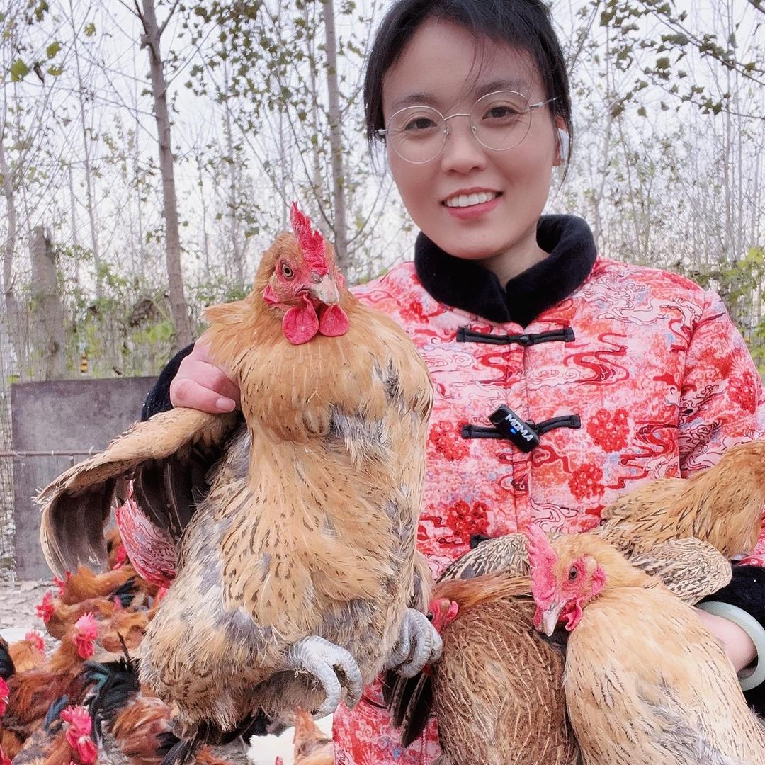 娜娜家散养土鸡