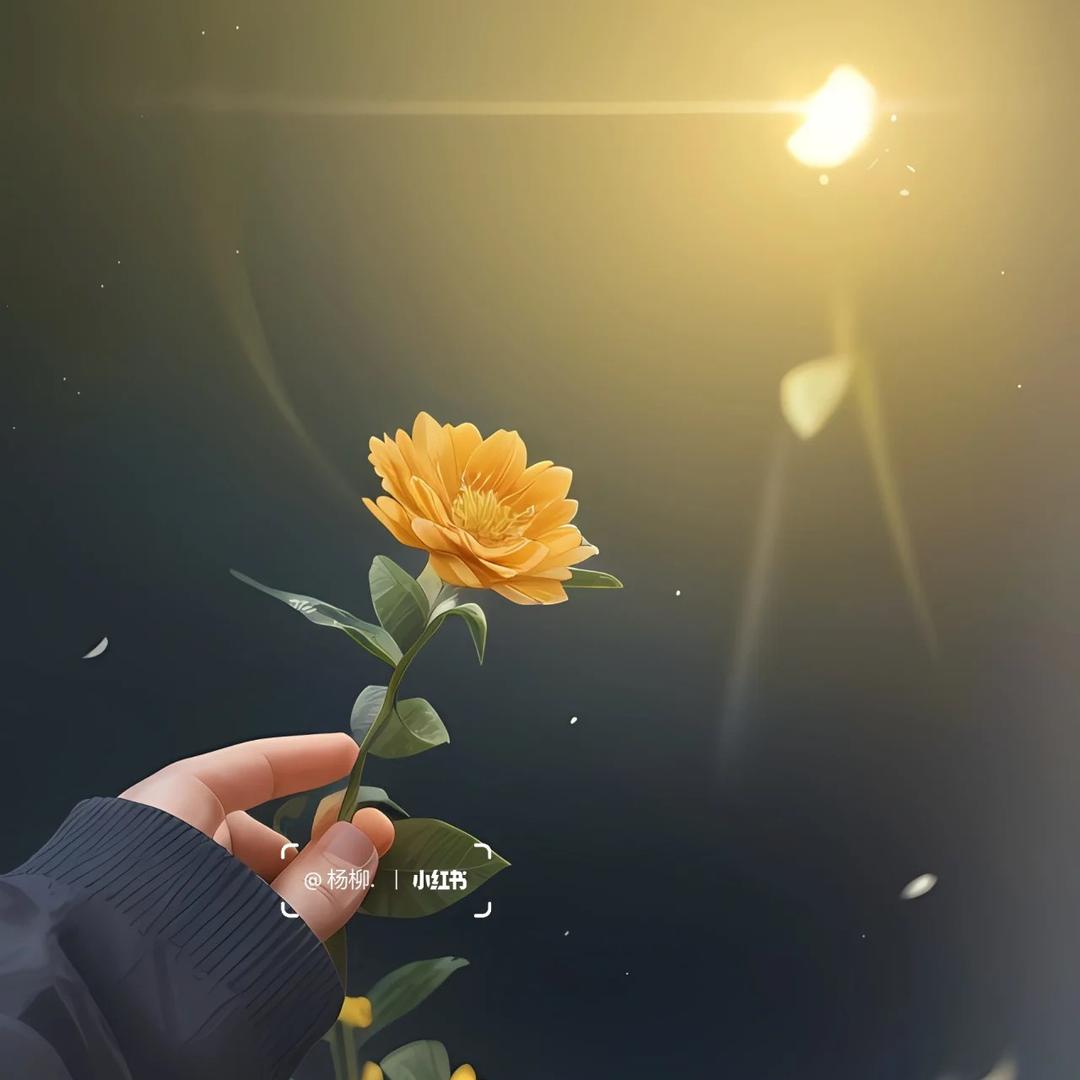 '小-花。y