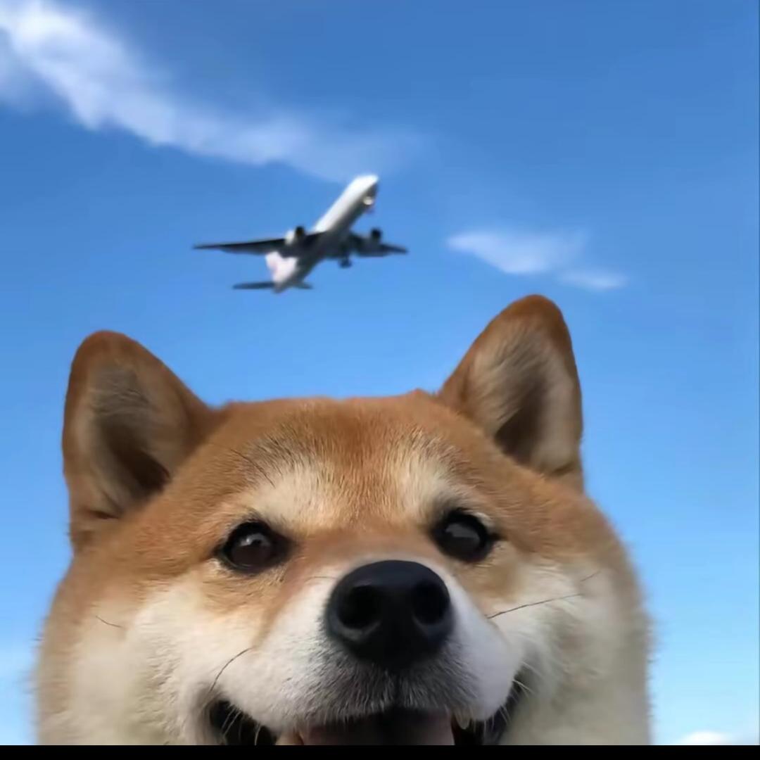 Aikcx