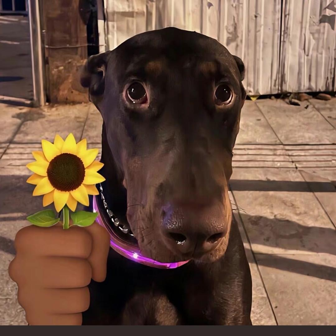 💁🏻