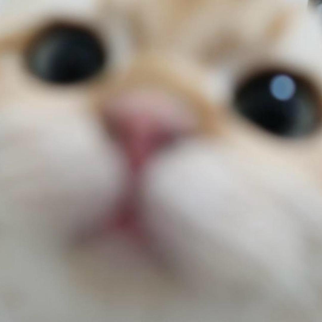 小吕