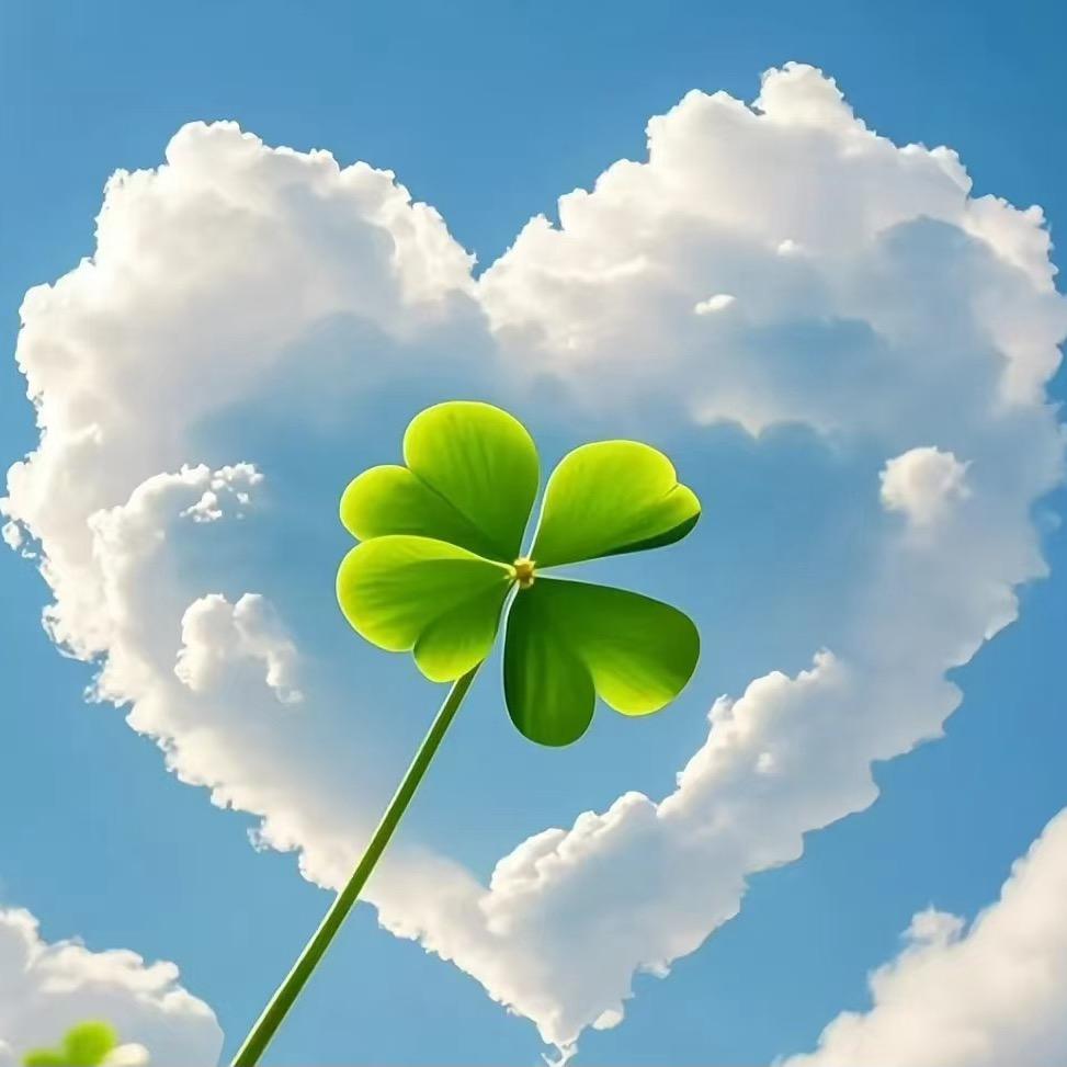 淇淇特价团购攻略