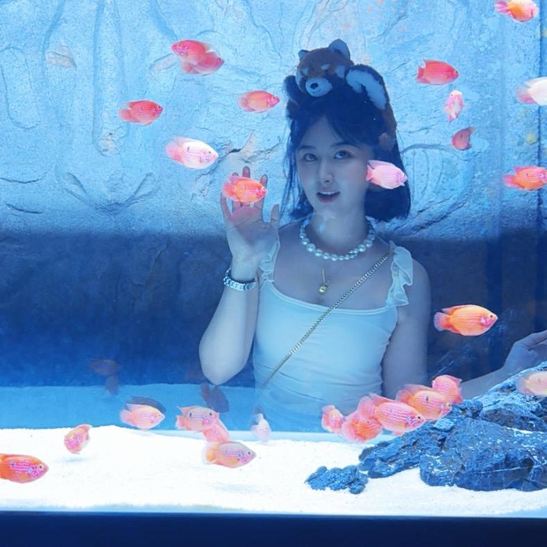 弦悦墨香