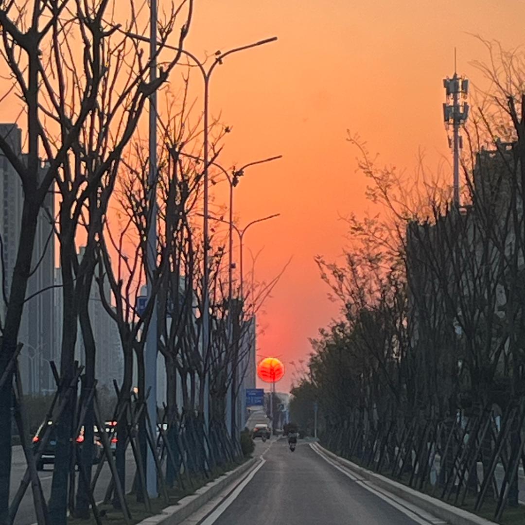 宇硕建材-石膏板批发