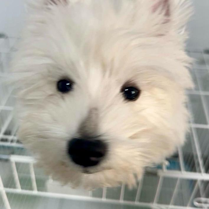 Gary（蛤蜊）给力🤔