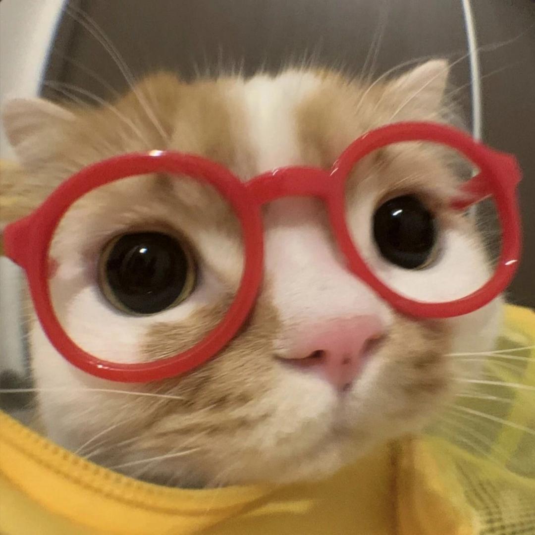 酱一只鸭
