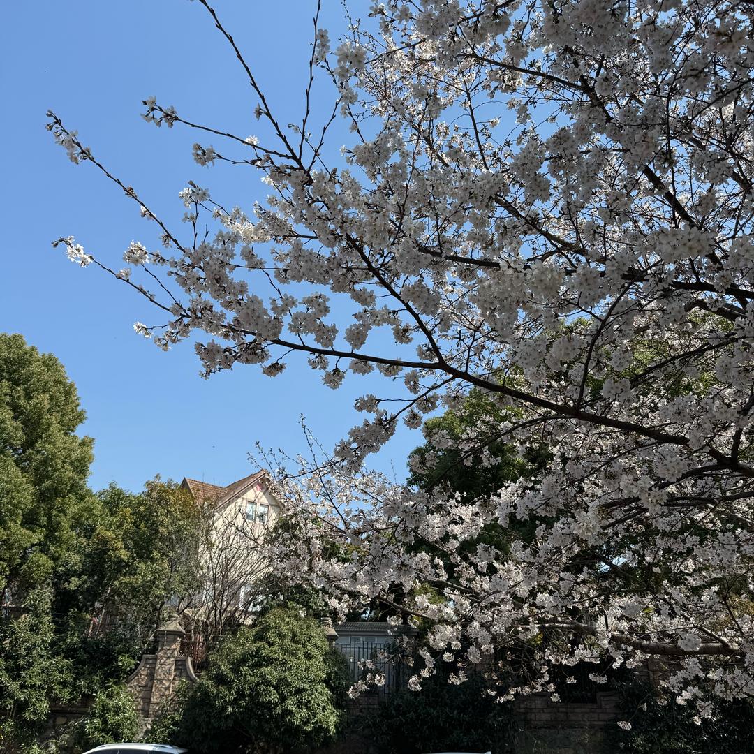南城以南