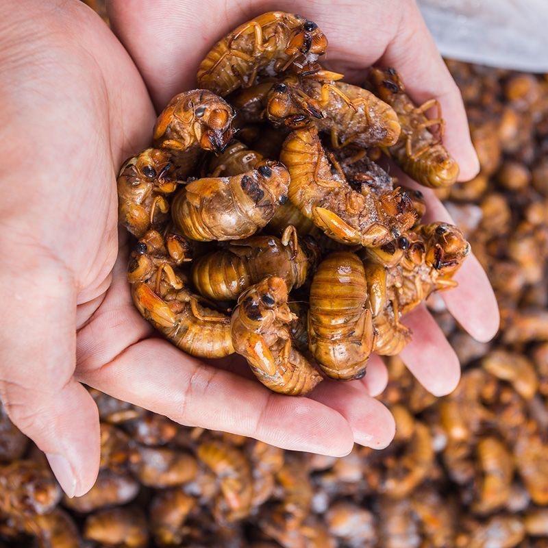 胶州湾美食特产铺子